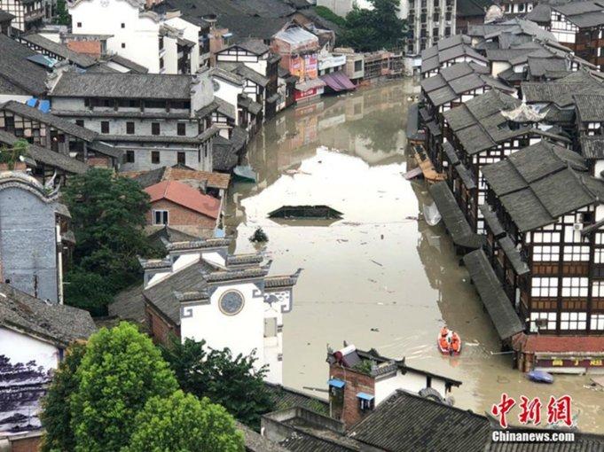 小猪仔要回家